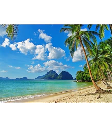 Amazon | Qinunipoto 背景布 夏の熱帯の島 ビーチ南国 トロピカル 2.1m